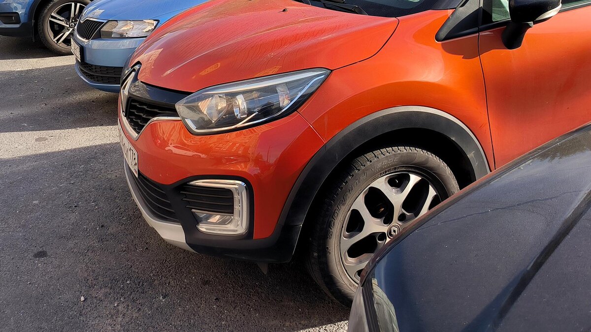    Фото: Maksim Konstantinov/globallookpress.com