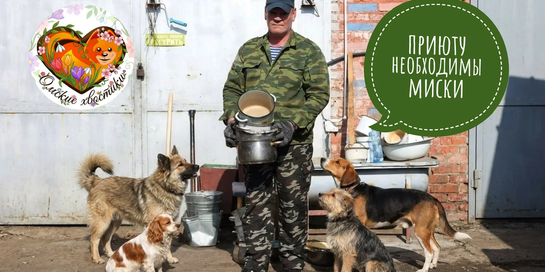 НЕТ МИСОК, ставить еду и воду НЕВОЗМОЖНО!