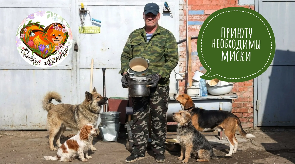 Каждый год мы сталкиваемся с одной и той же ситуацией: миски трескаются, чашки разбиваются, как и ведра!