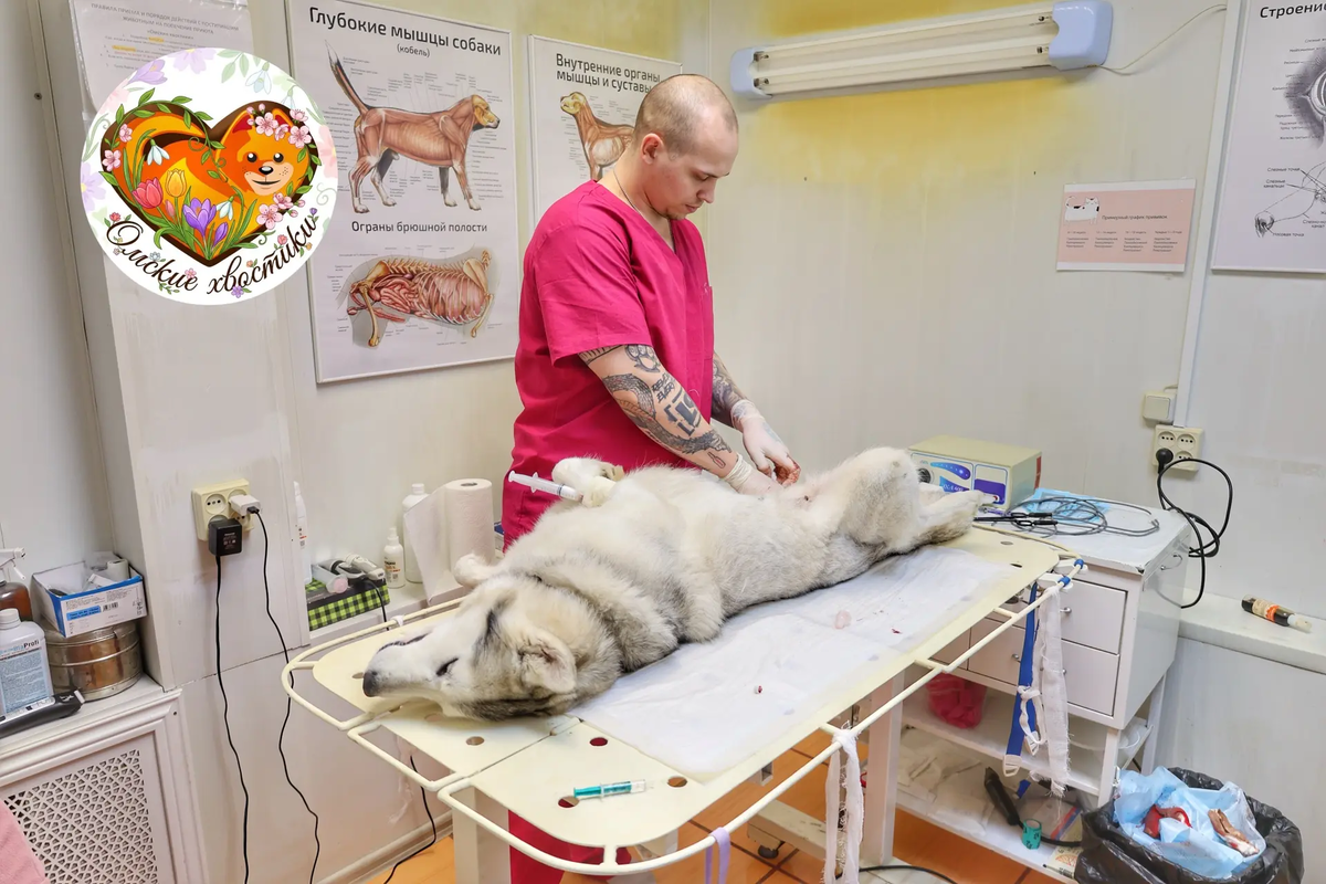 Все эти операции мы оплачиваем из собранных вчера средств...