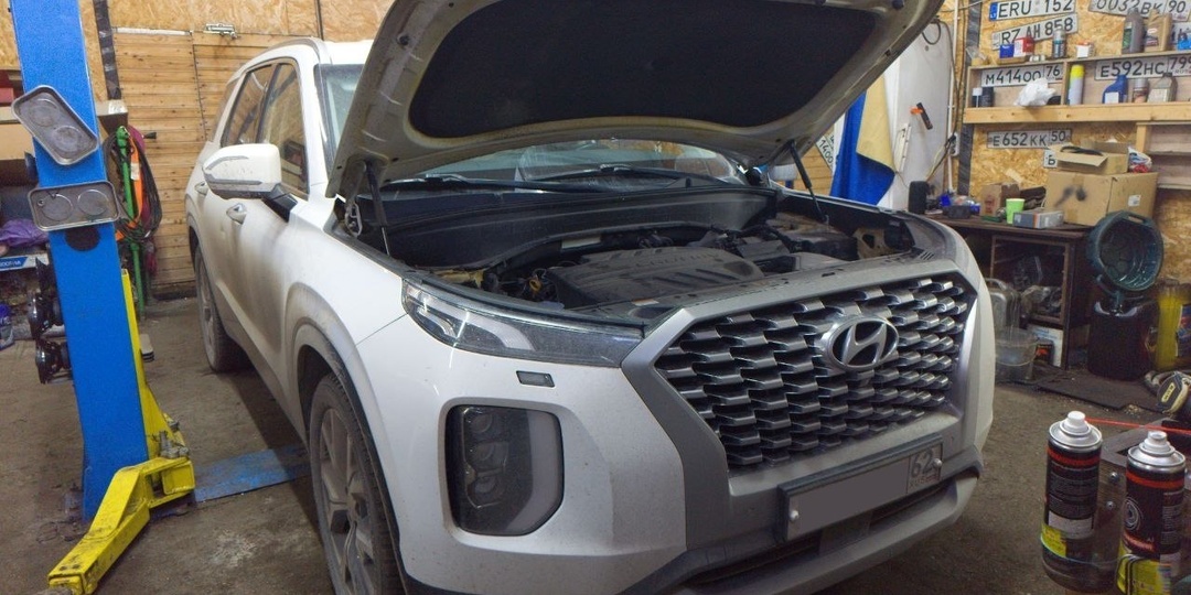 ‼️ "Палисадов день" - Как не надо и как нужно - Huyndai Palisade - AdBlue, EGR, DPF - OFF