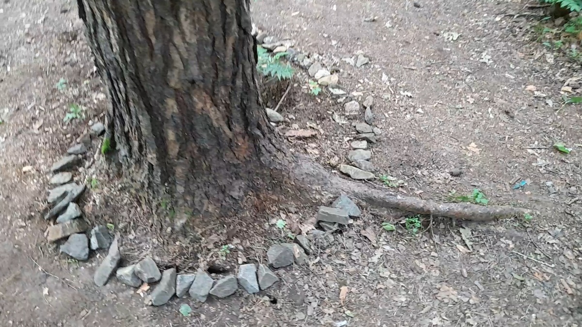 Похоже на ритуал. Фото автора.