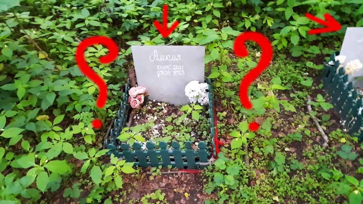 Кладбище домашних животных с человеческими именами.... 