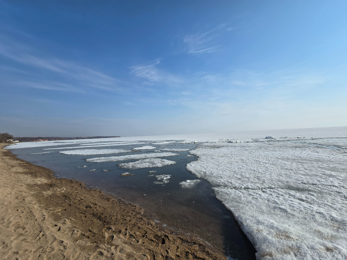 Сходили с Филей утром посмотреть, что творится за домом