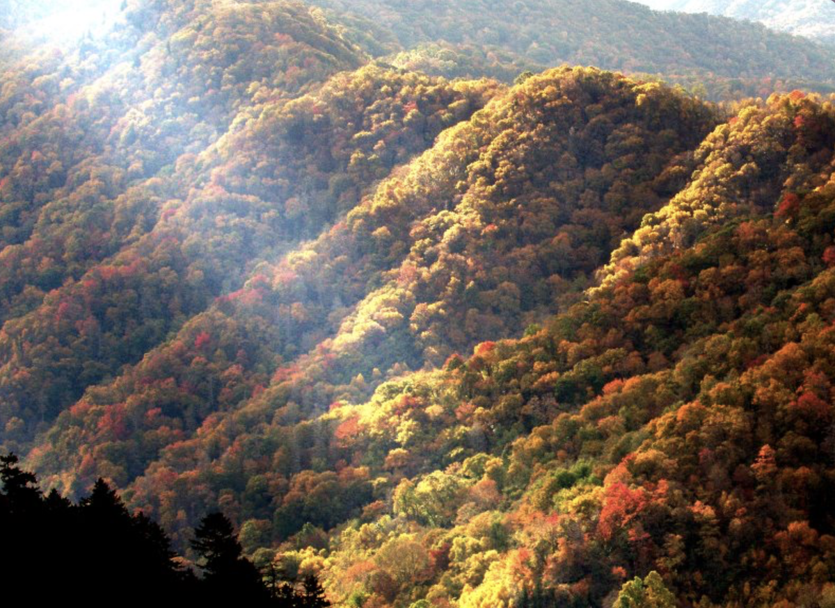 Реалистичное фото Аппалачских гор