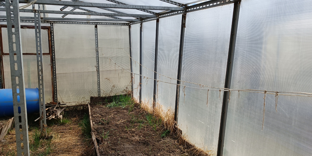 Почва без болезней: как обеззаразить тепличный грунт весной за 7 дней