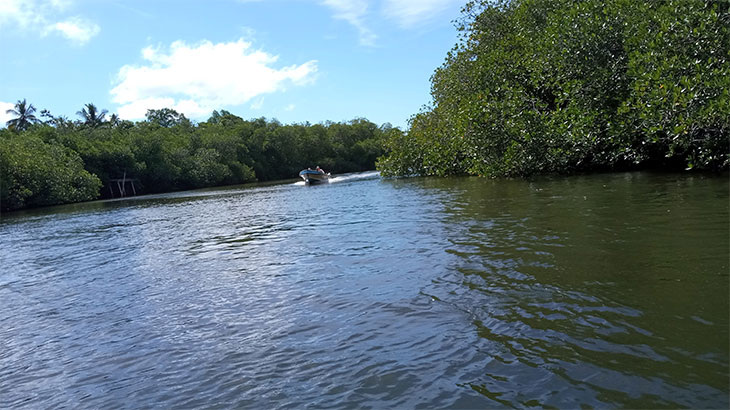 Речное сафари.