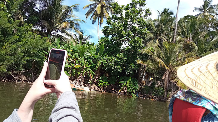 Наблюдение дикой природы.