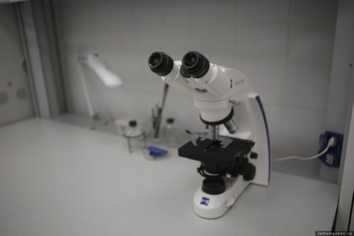 Фото носит иллюстративный характер. Фото: ПАИ