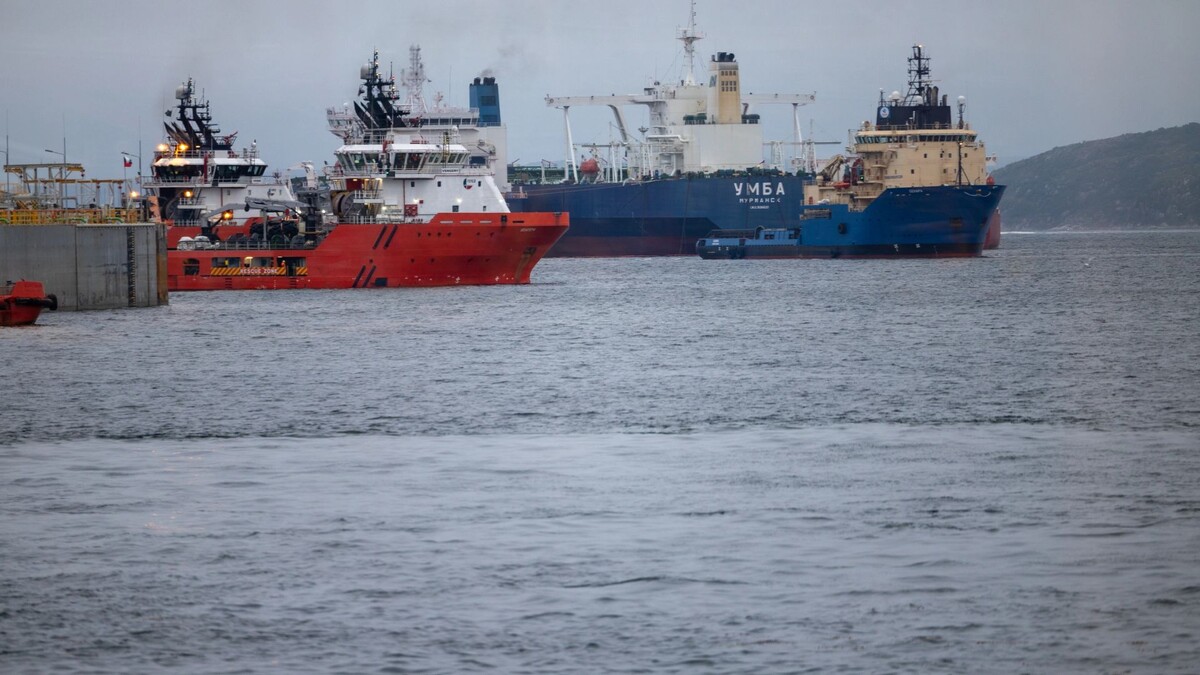    Фото: Федор Воронов / «Ямал-Медиа»