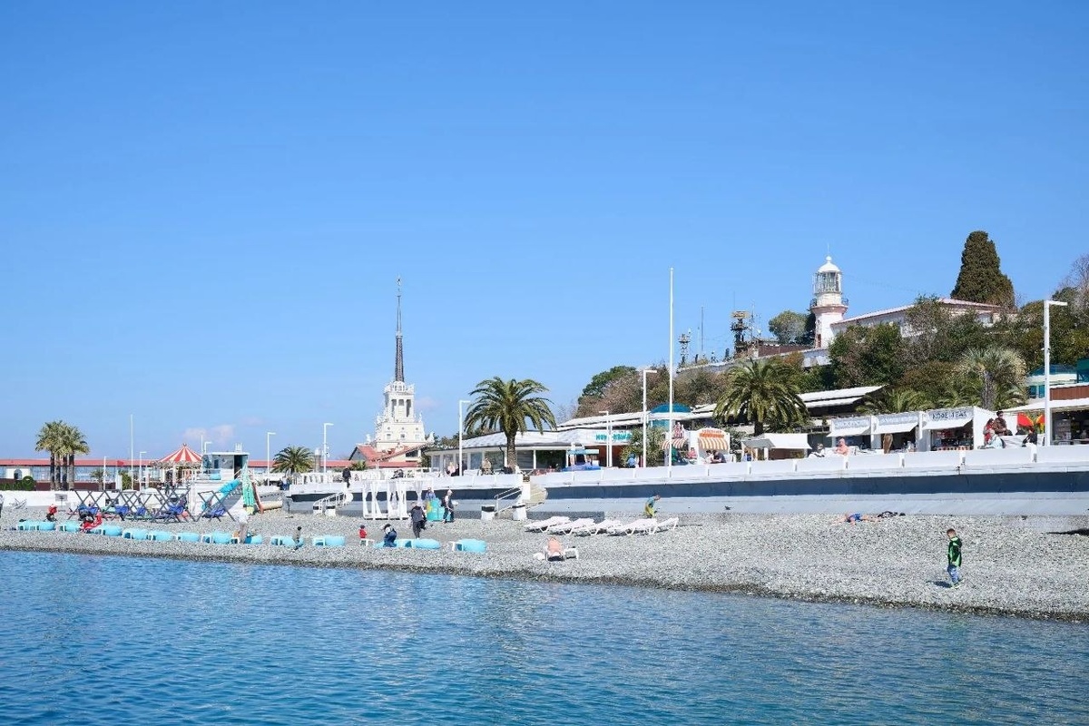 Фото: Telegram/Сочи Официальный  📷
