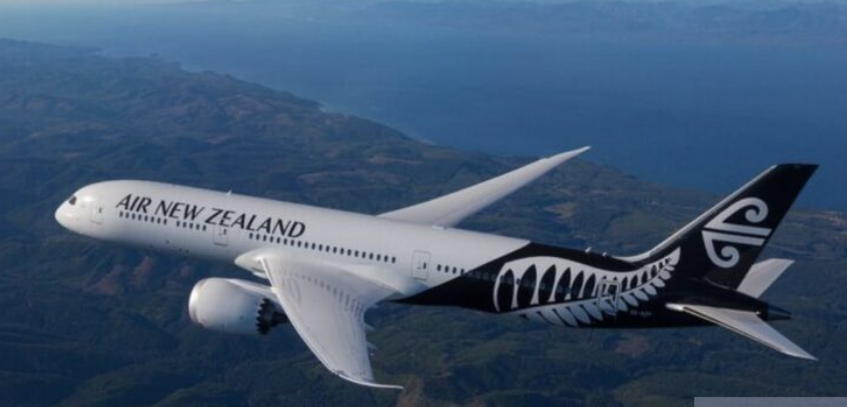    Останавливаются авиарейсы по всему миру: аэропорты Европы готовятся к дефициту топлива