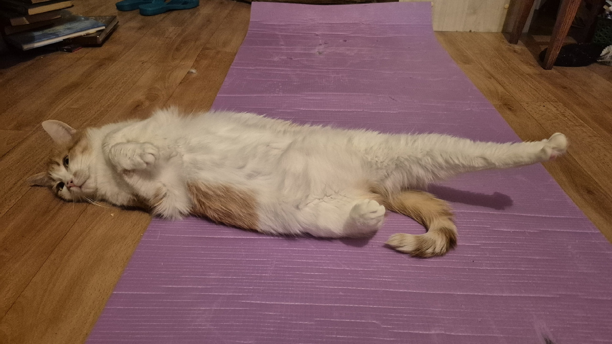 помощница отдыхает