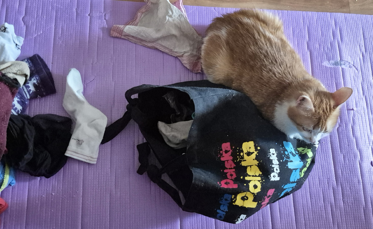 помощница помогает перебрать вещи