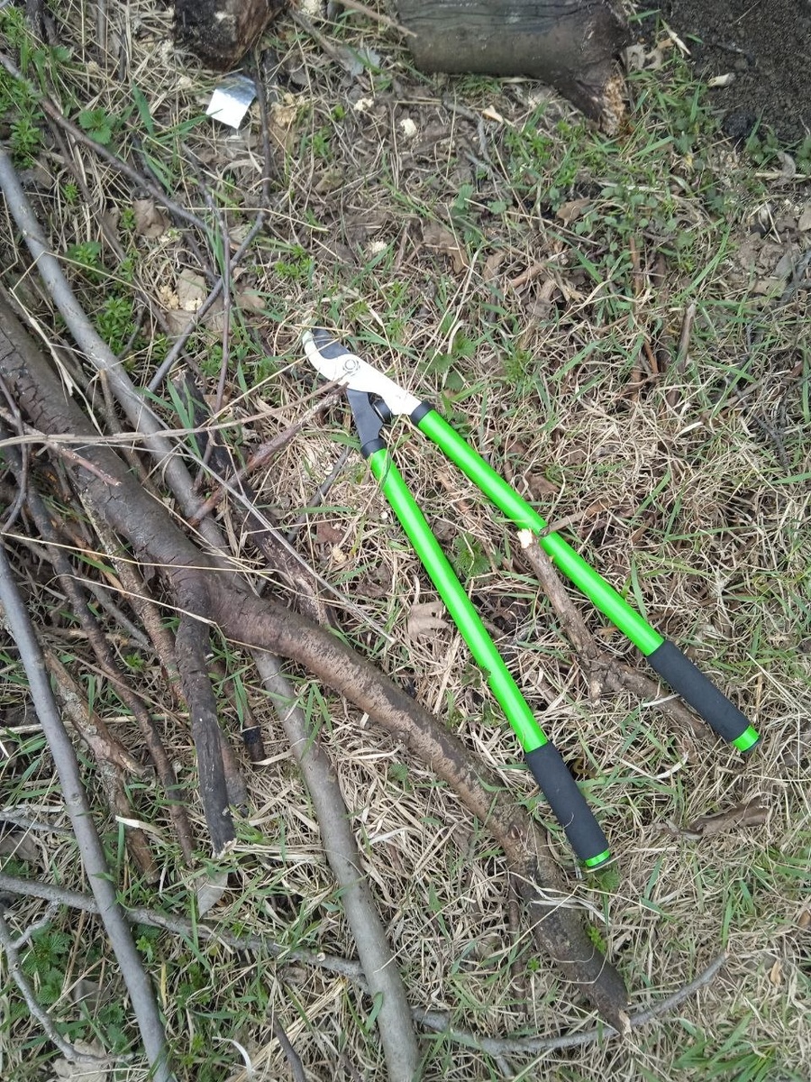 Слово-то какое, а?.. Эх, взять бы такой, да размером с дом. И хорошенько очистить всю планету от всякой гнусной поросли. Но увы. Пока довольствуемся садом.