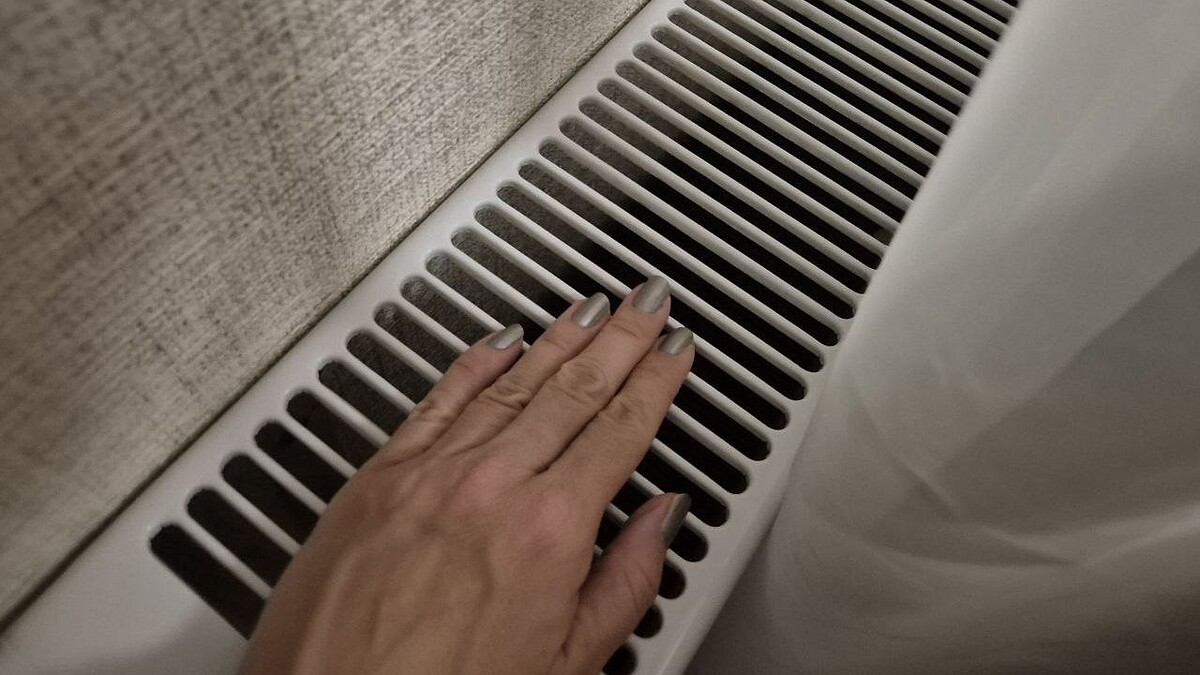    Фото: телеканал «Краснодар»