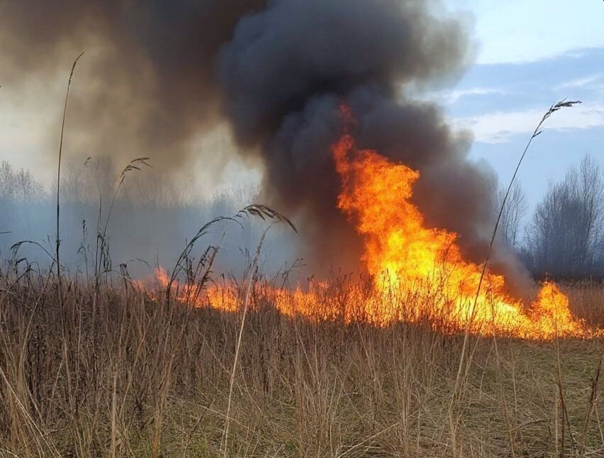 Изображение сгенерировано нейросетью. 