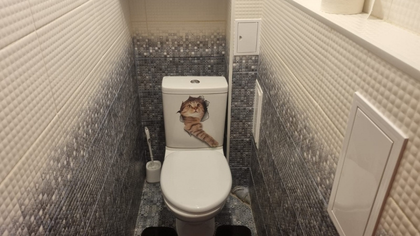    Фото Анастасии Дмитриевой