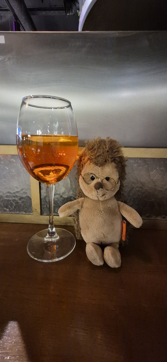 Мой верный  друг снова путешествовал со мной. 