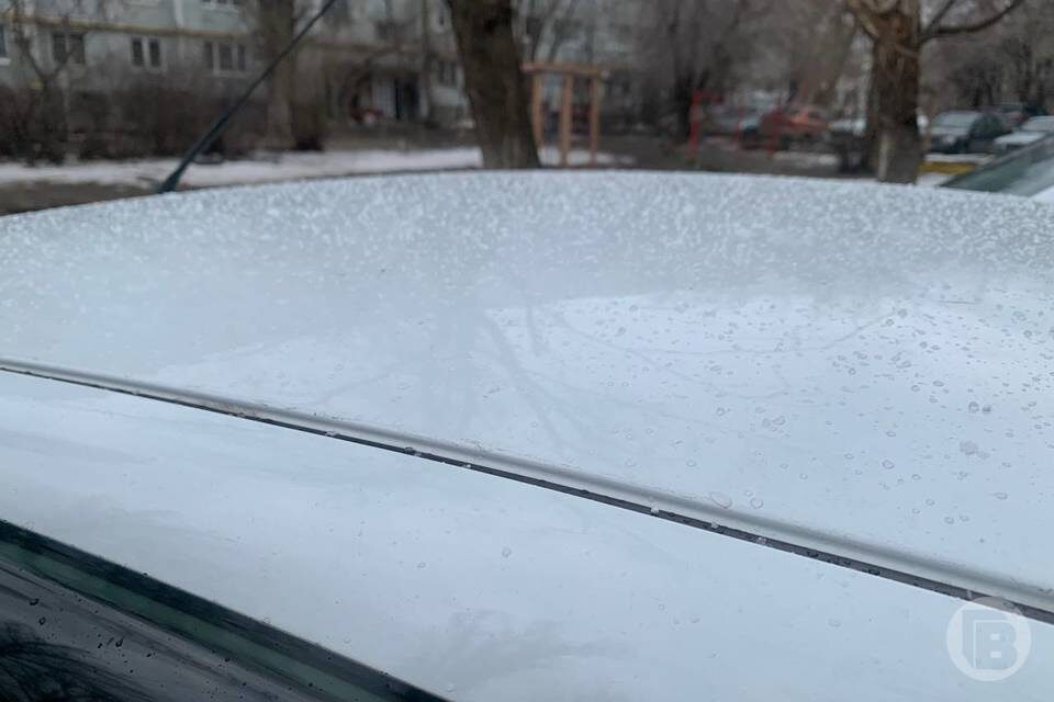    Фото: "Городские вести"