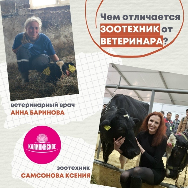 фото: ЗАО «Калининское»