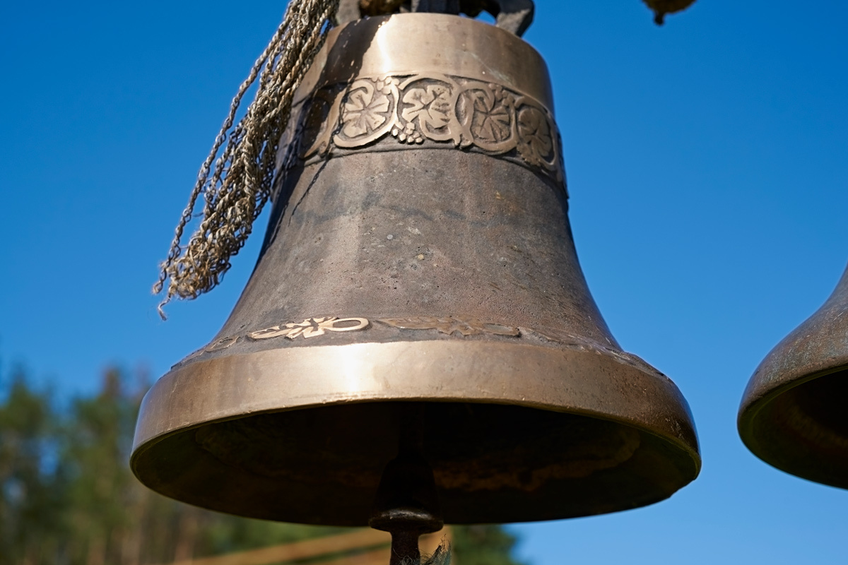    Фото: Oleg Bonkovskyi / Shutterstock.com