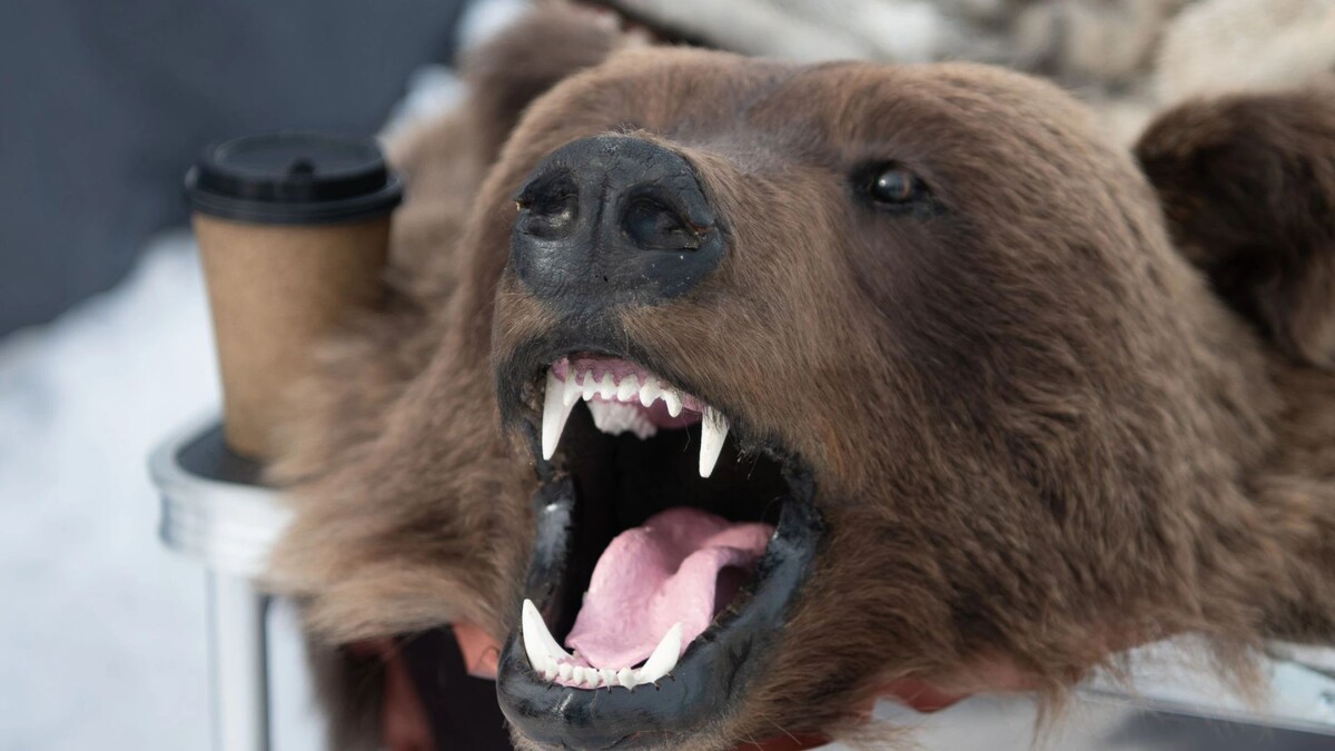    Фото: Юрий Здебский/«Ямал-Медиа»