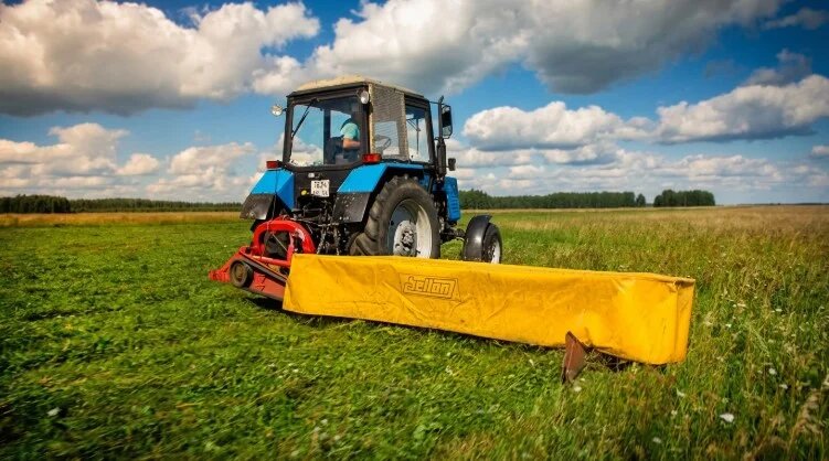 Запаздывание даже на неделю может означать снижение усвояемости и необходимость увеличения доли концентратов в рационе зимой.