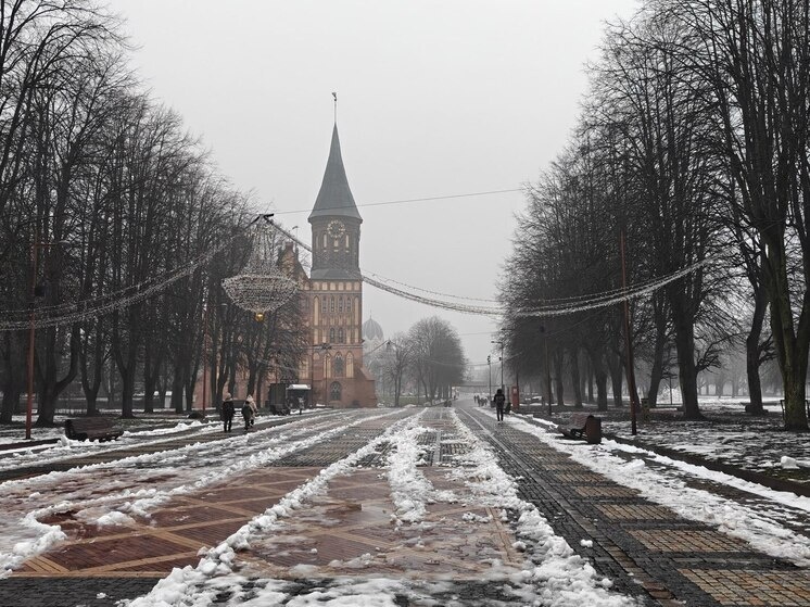     Фото: архив МК в Калининграде