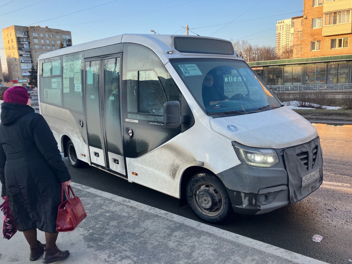    фото: © Александр Станевич/Столица на Онего