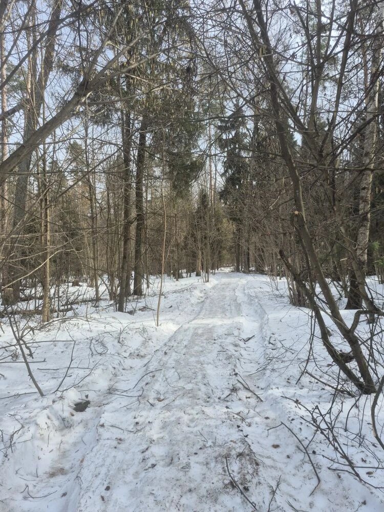 Прошла примерно 4,5 км и не встретила ни одного человека