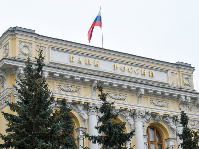    Фото: Москва 24/Никита Симонов