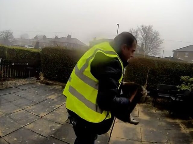    Фото: www.dailymail.co.uk