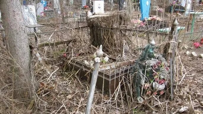 фото взято из открытого доступа сети интернет на Яндекс картинки