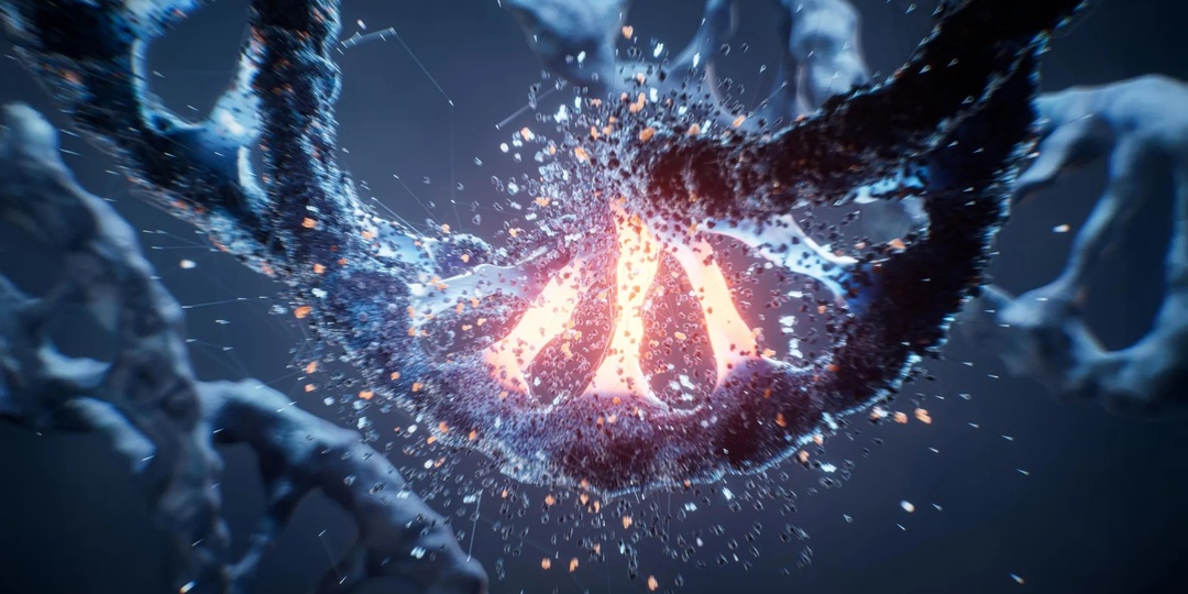 Подвижная трёхмерная укладка ДНК может быть связана с раком и нарушениями развития