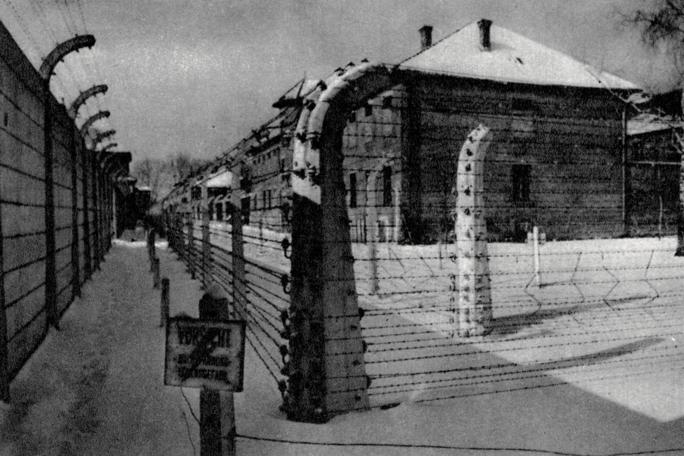 Фото из свободных источников.