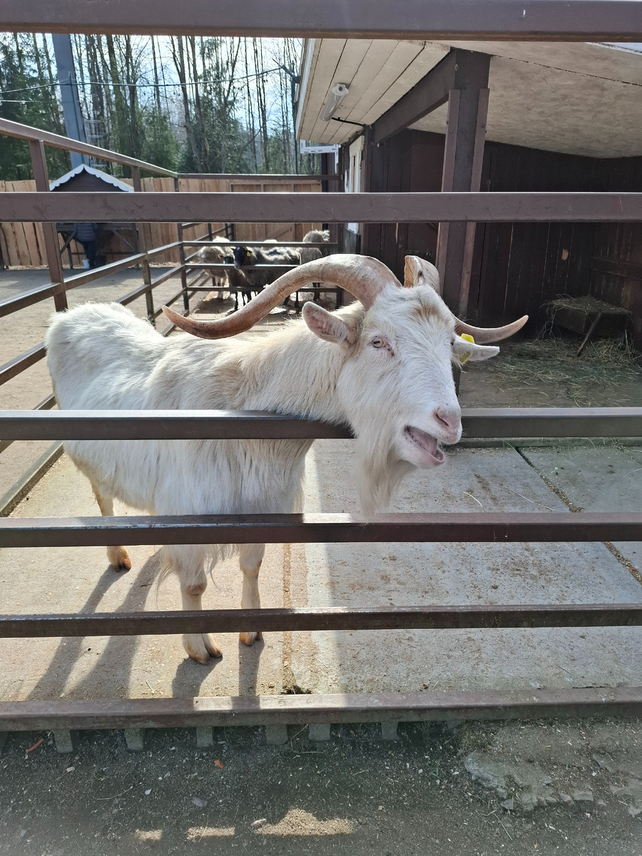 Конкретно вот этот 👆 мой любимчик ещё с прошлого года 😂