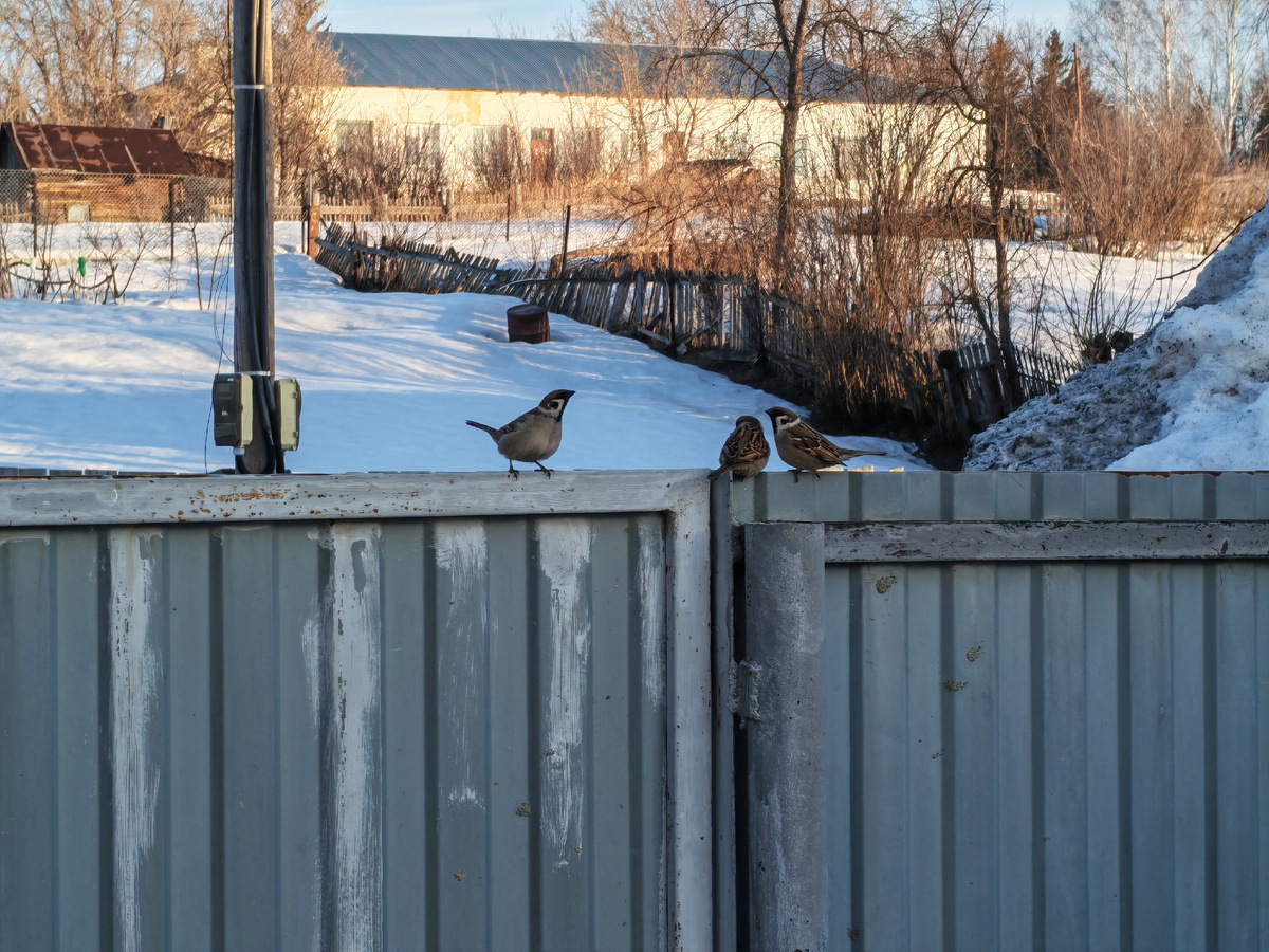 Личное фото автора канала