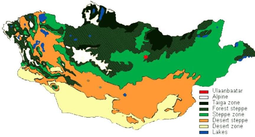 Леса Монголии