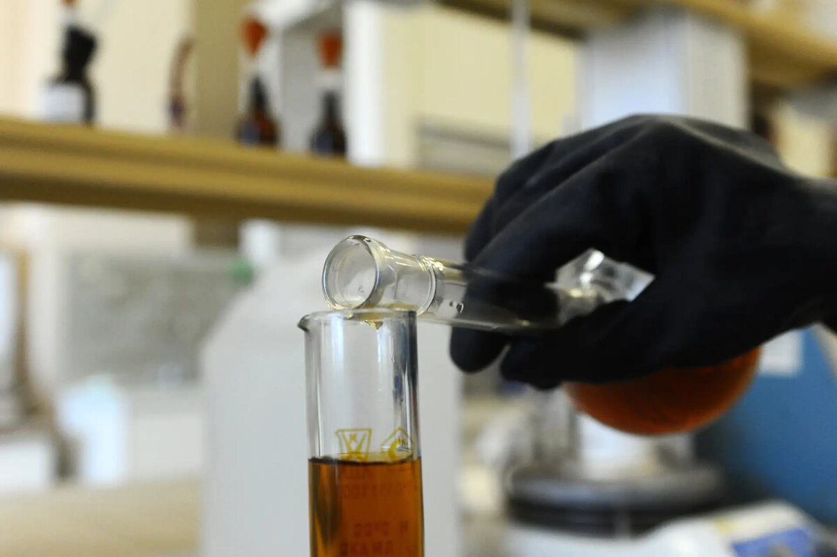     © РИА Новости. Алексей Сухоруков