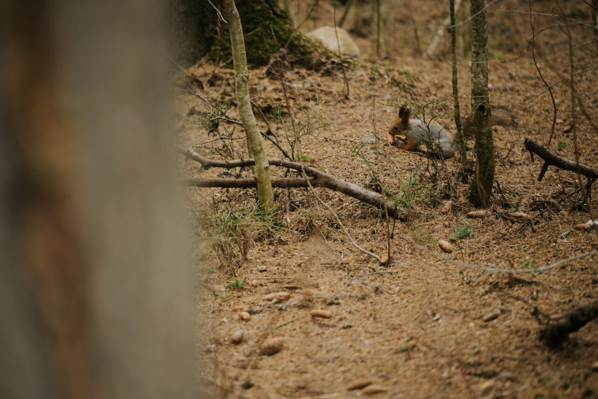    Фото: "Республика"/ Лилия Кончакова