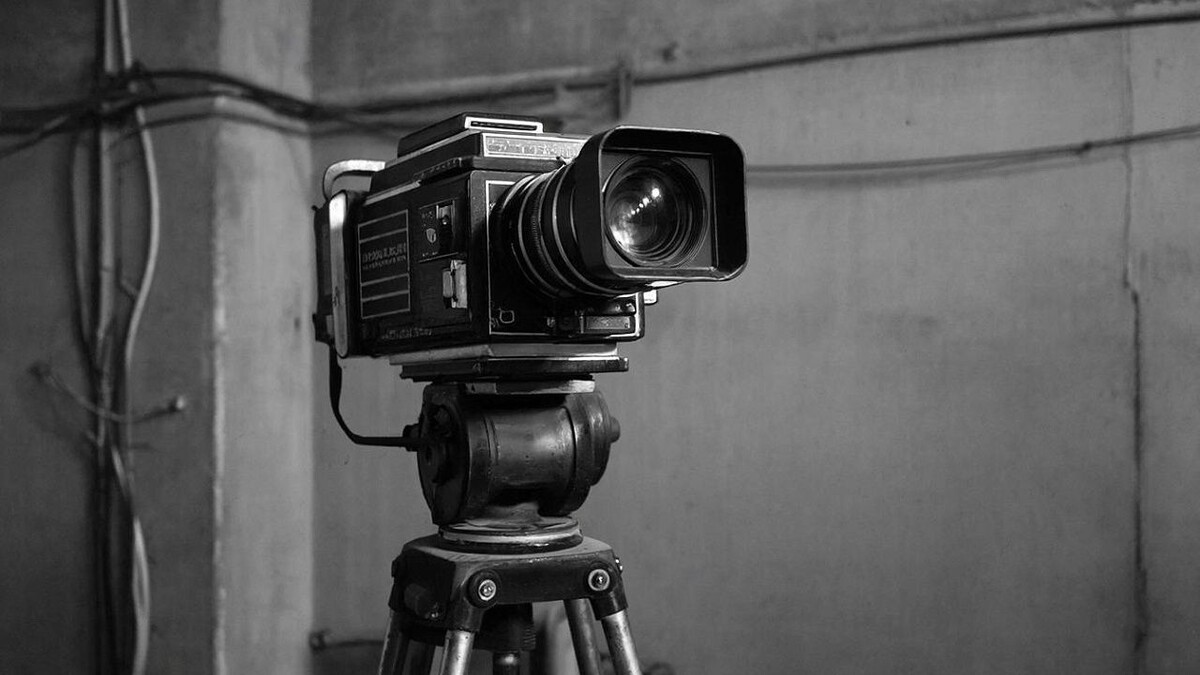    Фото: телеканал «Краснодар»