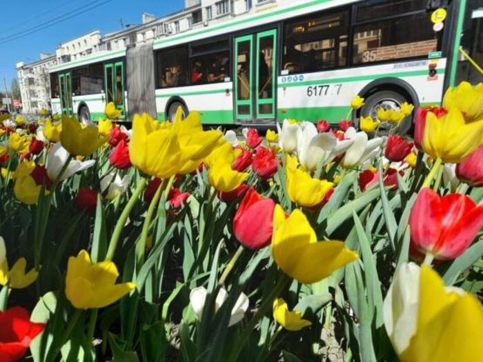 Иллюстрация: © «Панорама»