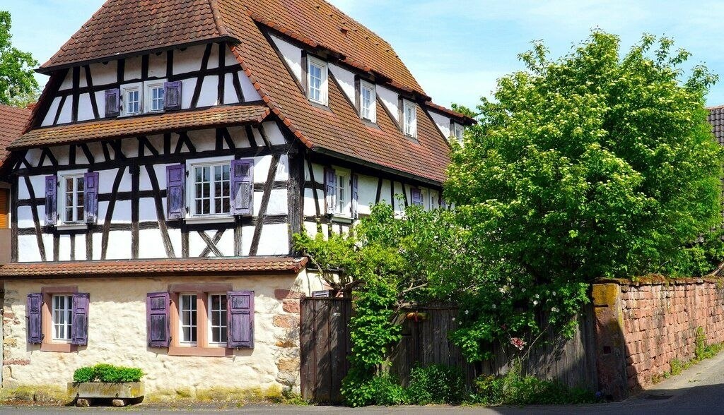 Фото: freepik | нейросеть Reve