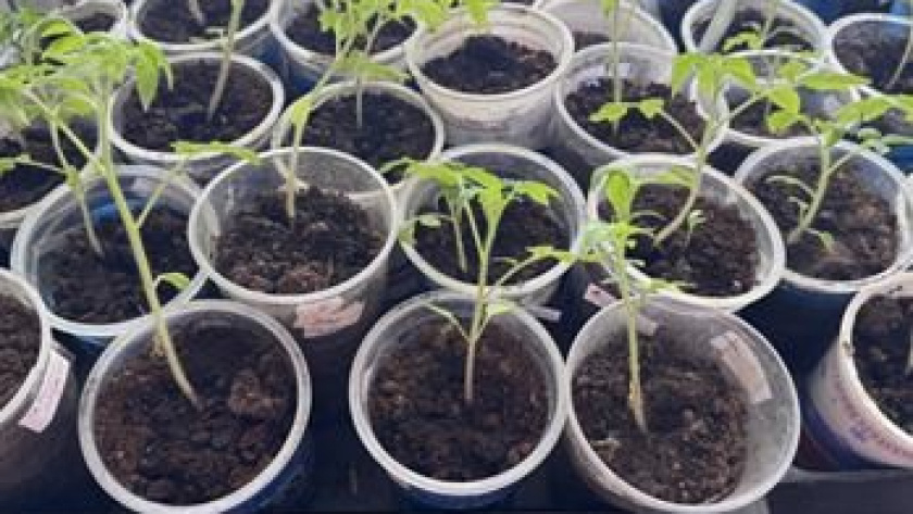    фото smilekaluga.ru