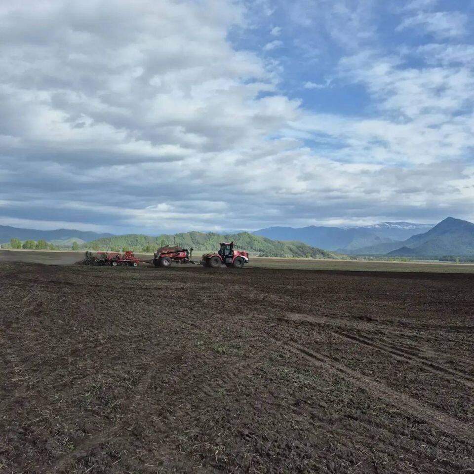    Полевые работы. Источник: Telegram-канал Александра Прокопьева