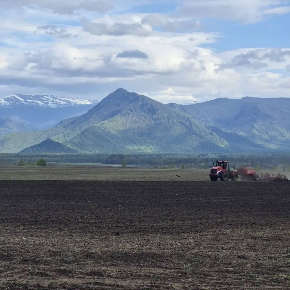    Полевые работы. Источник: Telegram-канал Александра Прокопьева