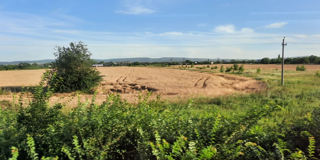 Подложные документы помогли кубанцу зарегистрировать участок в обход закона