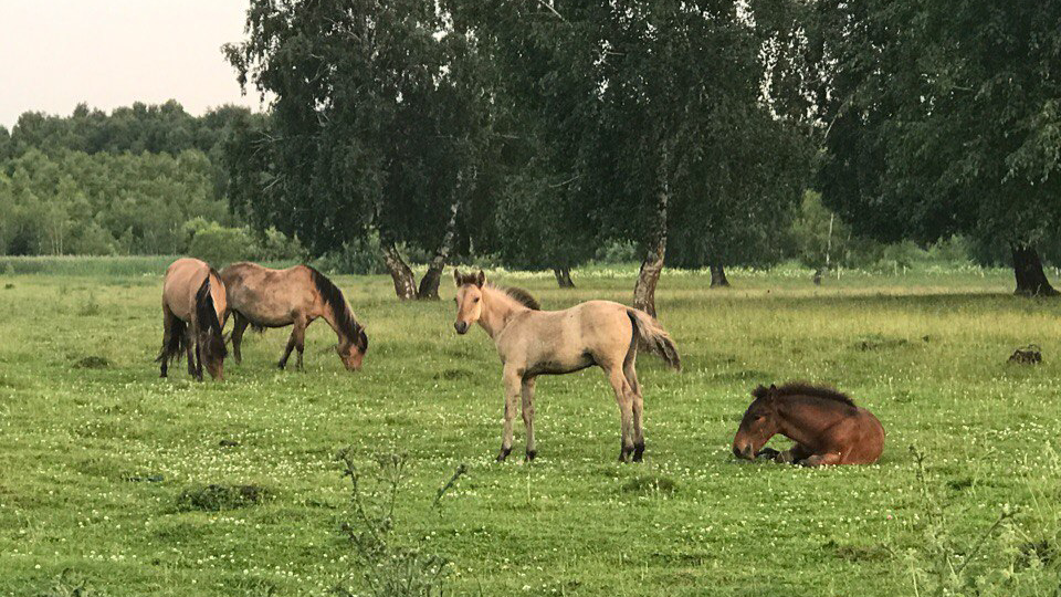 5 причин, почему мы так быстро устаем