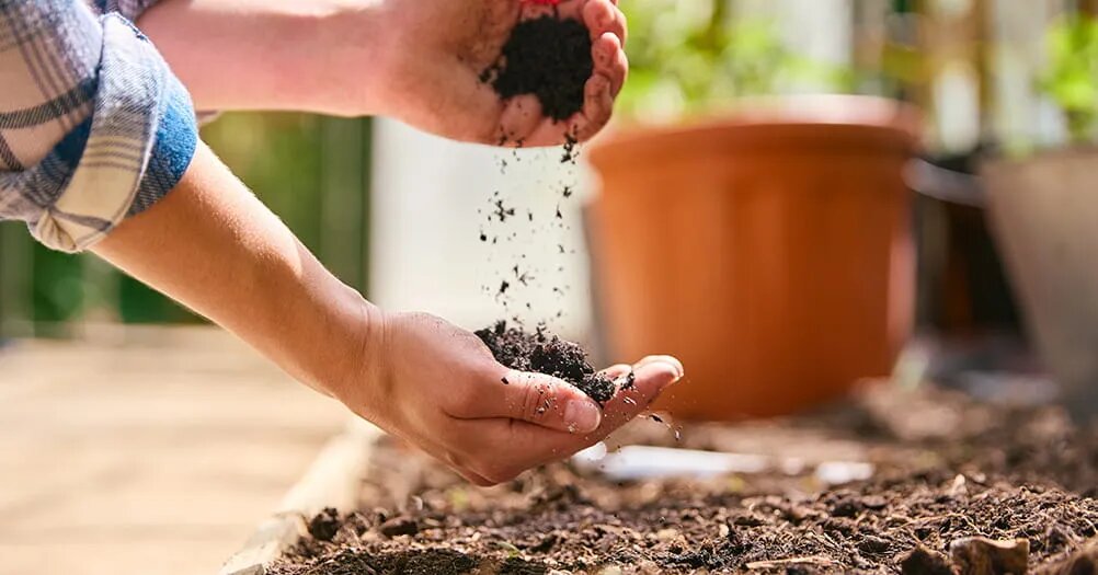 Подготовка теплицы после зимы под посадку: обработка, удобрение почвы и дезинфекция